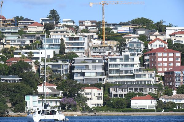 Australians positive about house price growth but worry about affordability, survey finds