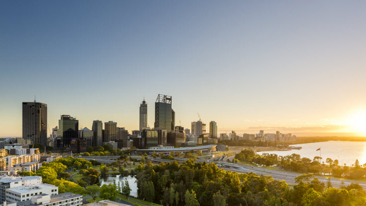 Perth Market Snapshot for the week ending 6 February 2022