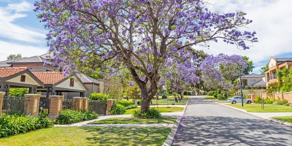 Perth median house sale price rises 20 per cent over past 12 months